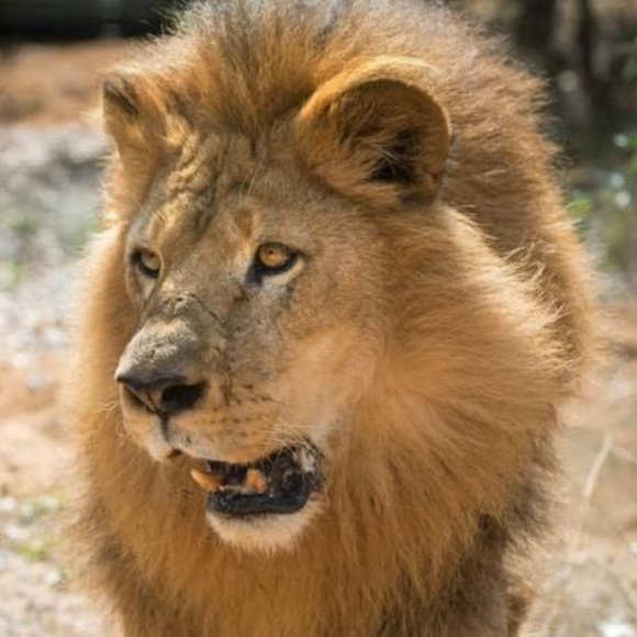 Meet your Posher, Robert - Picture 1 of 1